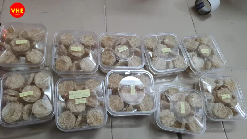 Gửi yến sào qua Trung Quốc